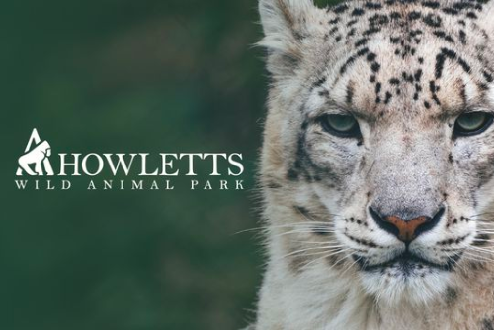 The Howletts Wild Animal Trust (The Aspinall Foundation)